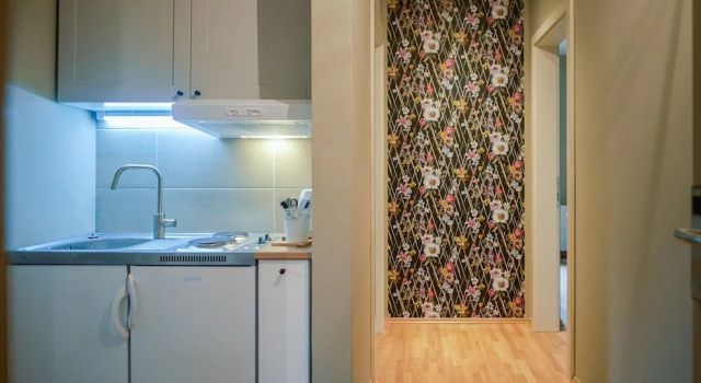 Апартаменты Grand с красивым видом из окна Peacock Boutique Apartments