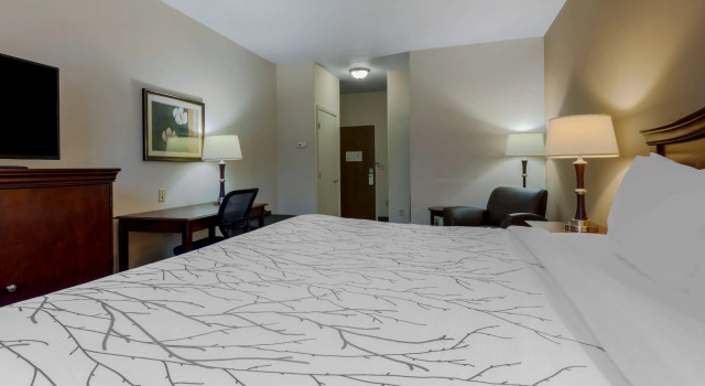 Двухместный номер Standard Best Western Plus Sweetwater Inn & Suites