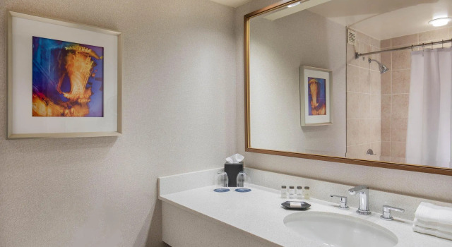 Двухместный номер Standard Sheraton Music City Nashville Airport