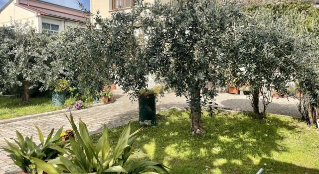 Апартаменты Casa La Palma in San Giuliano Terme