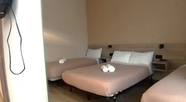 Номер Standard Optimus Comfort Campoamor 101