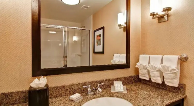 Шестиместный номер Standard Hilton Garden Inn Woodbridge
