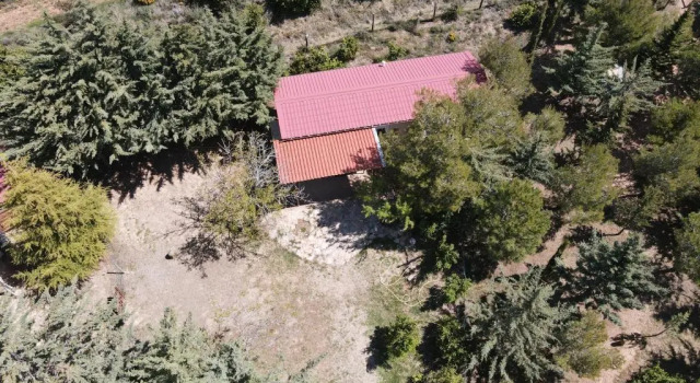 Семейное бунгало Camping Castillo de Loarre