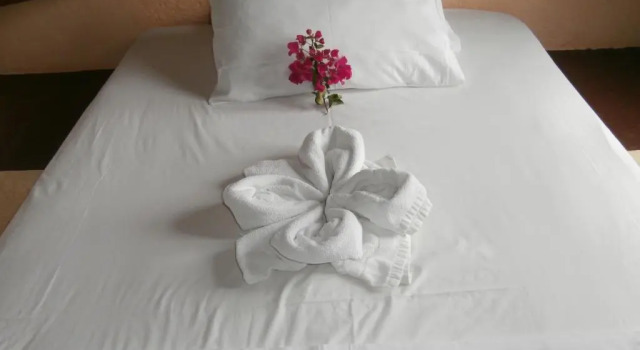Апартаменты с 2 комнатами с видом на море Hotel Eliza