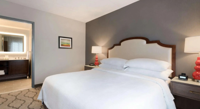 Двухместный люкс 2-room Embassy Suites by Hilton Chicago Naperville