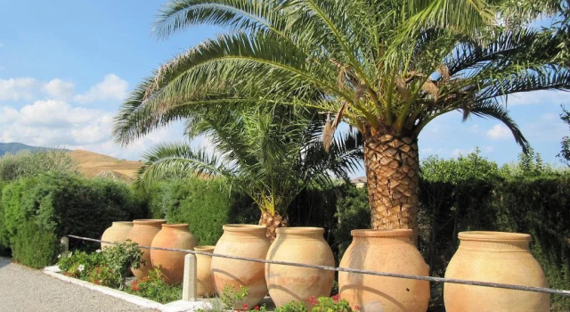 Agriturismo Agriclub Le Giare