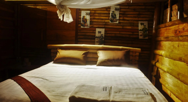 Номер Standard Tree Bar Hostel