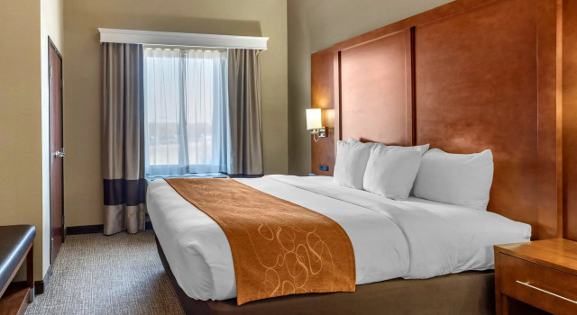 Двухместный люкс Comfort Suites Batesville