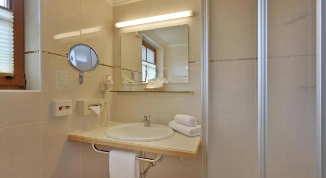 Двухместный номер Standard Hotel Waldheim Garni