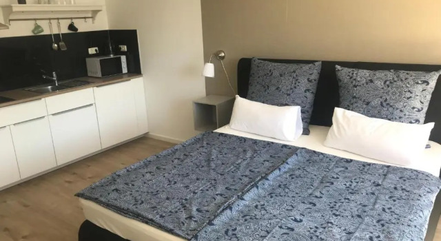 Номер Standard Maxim Apartments Mainz