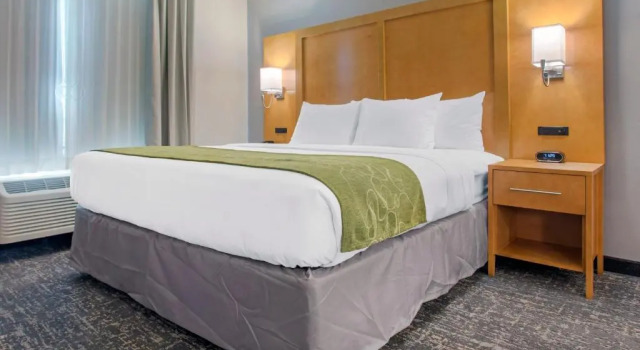 Люкс Comfort Suites North Charleston - Ashley Phosphate