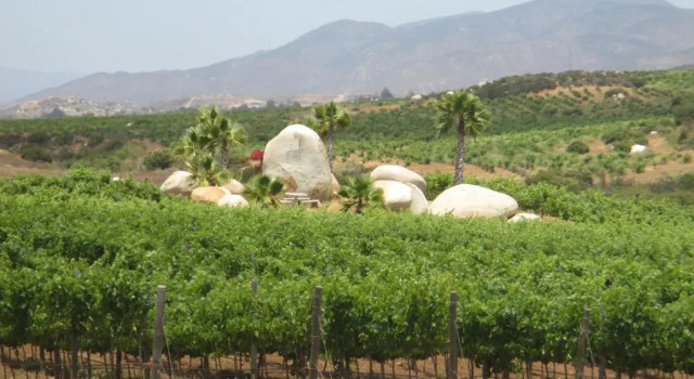 Вилла Enkanto Valle de Guadalupe