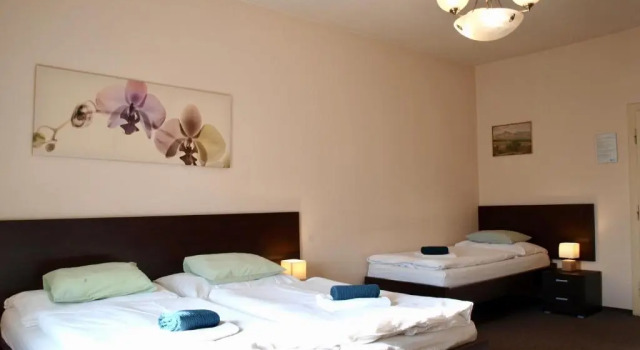 Номер Standard Pension Village