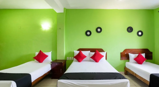 Номер Standard Hotel El Faisan y El Venado