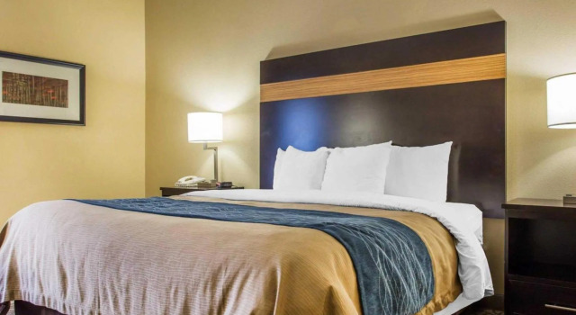 Люкс c 1 комнатой Comfort Inn & Suites at Stone Mountain