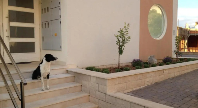 Апартаменты Apartments Klementina