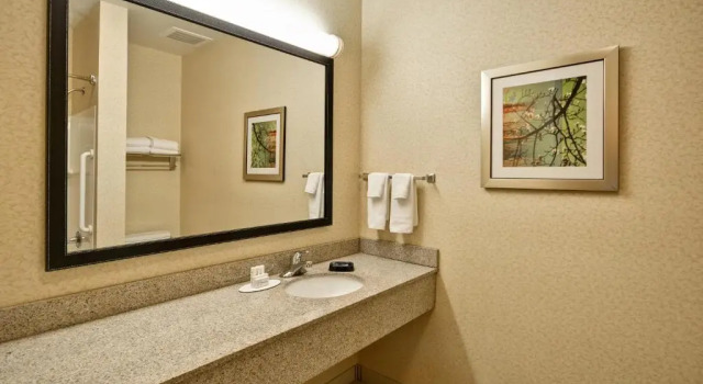 Номер Standard Fairfield Inn & Suites by Marriott Birmingham Fultondale/I65