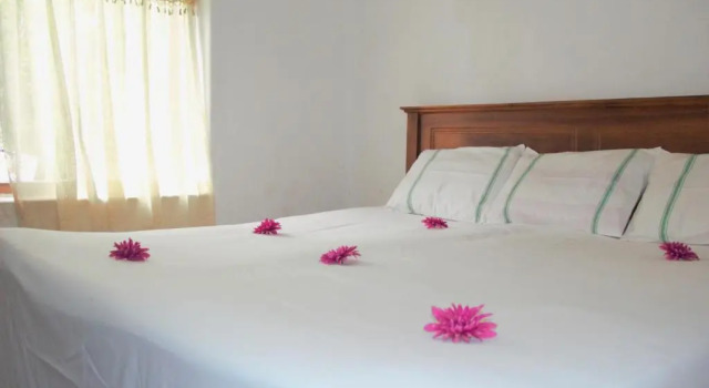 Двухместный номер Standard Sun Vivanta Resort