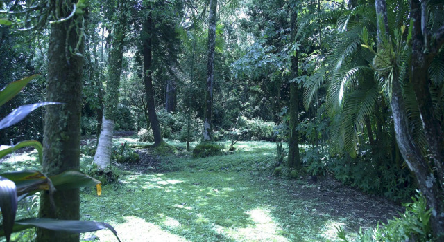 Enchanted Gardens, Buchen Sie Hotel Orchidlands Estates 
