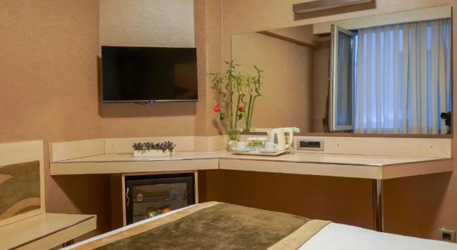 Двухместный номер Economy Hotel Troya