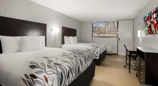 Четырёхместный номер Standard Red Roof Inn Alexandria, LA