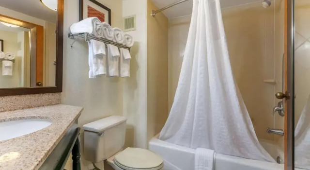 Люкс Comfort Inn Chattanooga Downtown Southside
