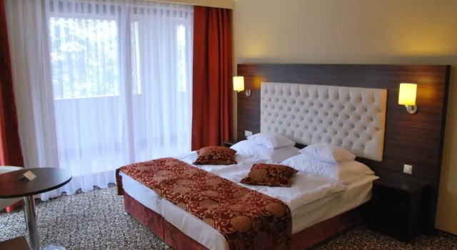Номер Standard Erdőspuszta Club Hotel