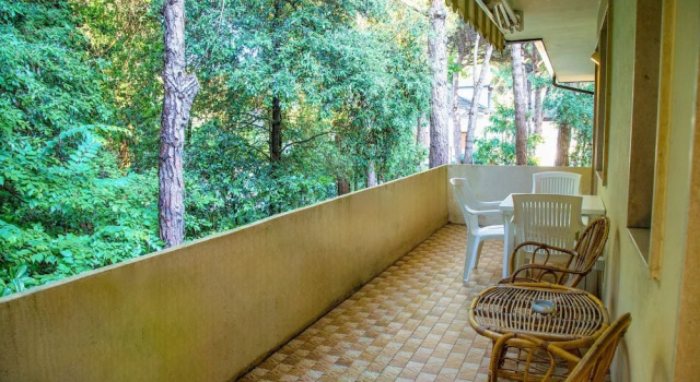 Terrace Home by the Pinewood