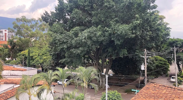 Номер Standard Casa Rosales