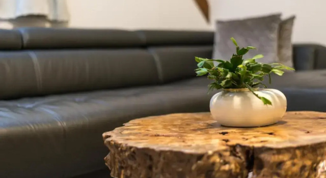 Апартаменты Orchideen Apartment