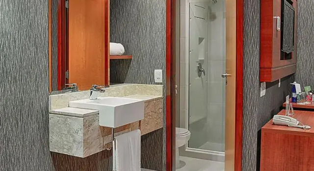 Двухместный номер Standard Wyndham Sao Paulo Ibirapuera Convention Plaza
