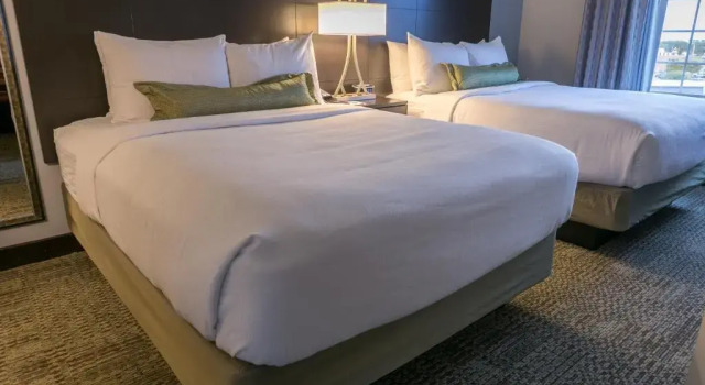 Четырёхместный номер Standard c 1 комнатой Staybridge Suites Austin North - Parmer Lane by IHG