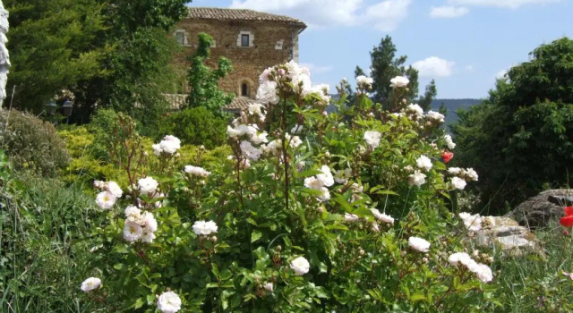 Номер Standard Les Jardins de lAbbaye