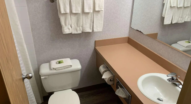 Suite Rodeway Inn