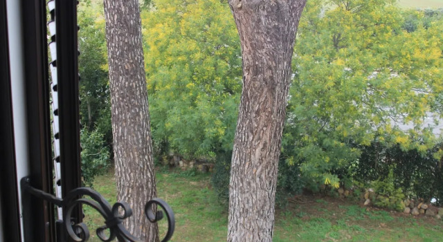 Номер Premium Agriturismo La Talpa