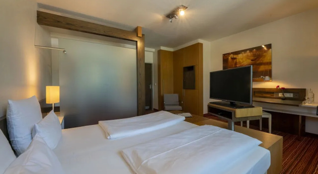 Одноместный номер Business Hotel An der Gruga