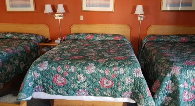 Двухместный номер Standard Town House Motel Inc