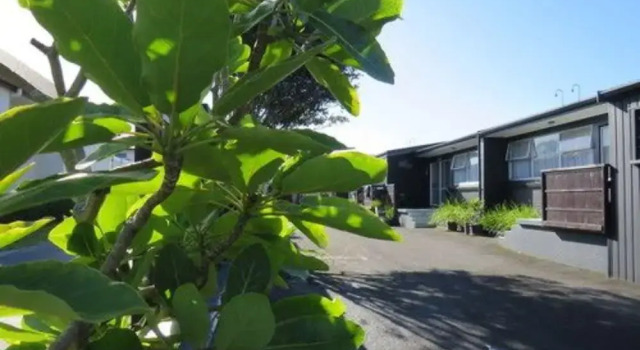Blue Wave Motel Mount Maunganui, Book Motel Tauranga Bay of Plenty