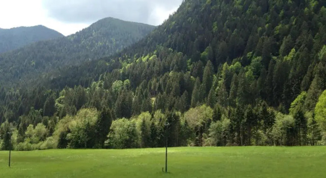 Апартаменты il bosco in casa