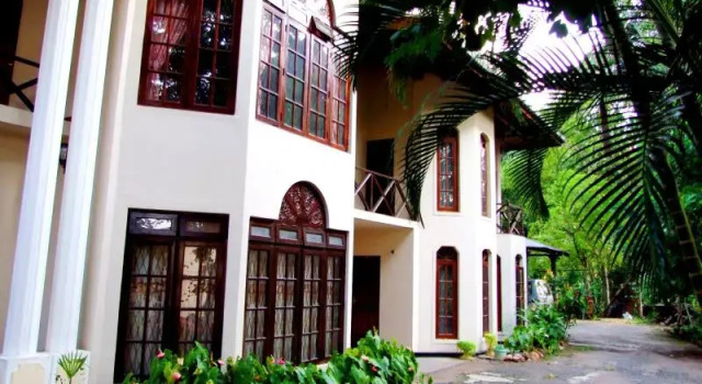 Одноместный номер Economy Tree Breeze Inn