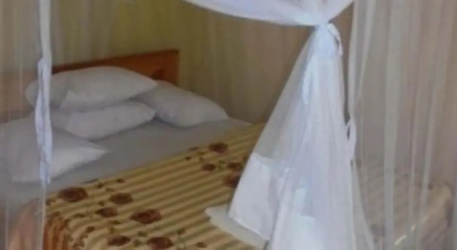 Номер Standard The Yellow Green Hotel