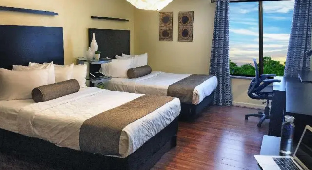 Номер Standard Best Western Plus Lewisville Flower Mound