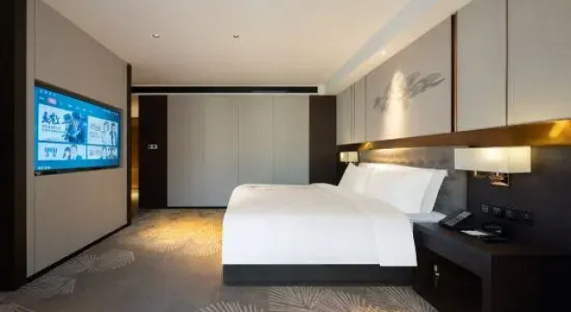 Двухместный люкс Executive The GiorgioMorandi Hotels (Zaozhuang Shuangzixing Hengtai Municipal Government)