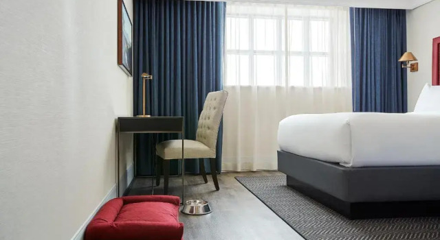 Четырёхместный номер Standard The Wick, Hudson, a Tribute Portfolio Hotel