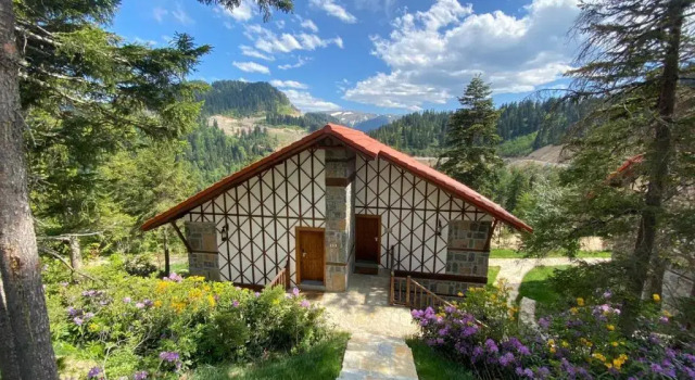 Двухместный номер Standard Foleya Mountain Resort Hotel & Villas