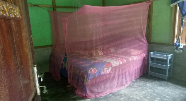 Номер Standard Green Lodge Tangkahan