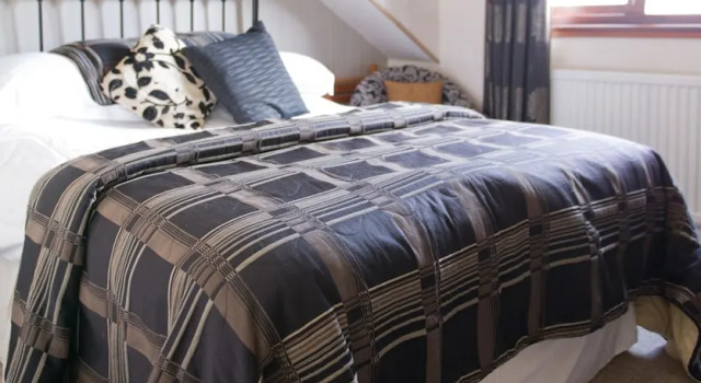 Номер Standard Tyn Rhos Country House