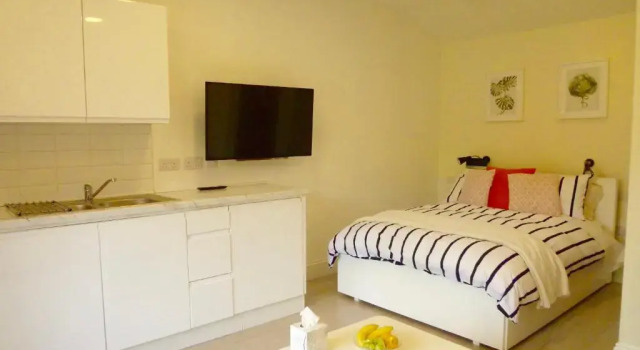 Студия Deluxe Holland House
