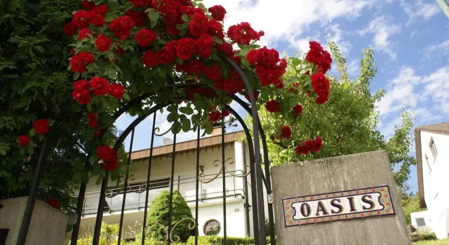 Oasis Apartment