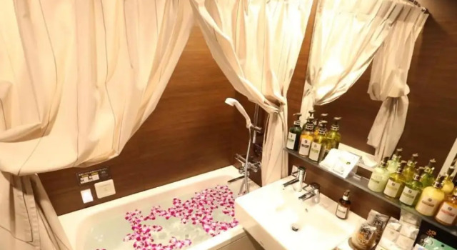 Двухместный room Economy HOTEL PetitBali Higashi-Shinjuku